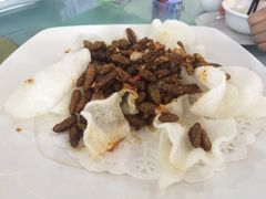-东江湖游水三文鱼美食城
