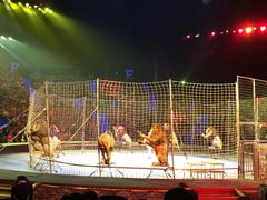 -珠海横琴长隆《卡卡虎奇遇记》