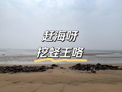 -日照海滨国家森林公园