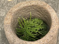 -钱穆钱伟长故居
