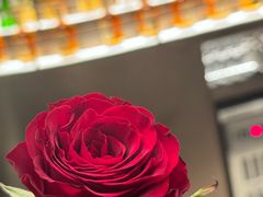 -金海华·Winsun玲珑国际·赫本时光(园区金鸡湖店)