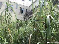 -广州市紫泥堂文化创意园景区