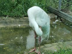 -齐齐哈尔龙沙动植物园
