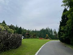 -东平国家森林公园