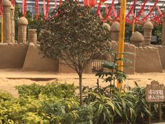 -南宫五洲植物乐园