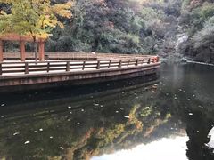 -少华山国家森林公园