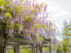 -湊湊火锅·茶憩(杭州湖滨银泰in77店)