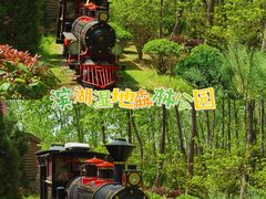 -合肥滨湖国家森林公园