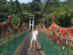 -西双版纳原始森林公园