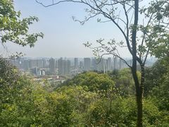 -峙山公园