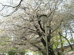-松月洞童话村