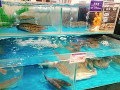 -伊藤洋华堂(温江店)