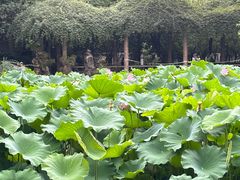 -成都杜甫草堂博物馆