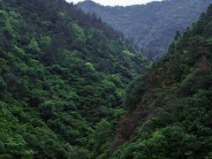 -新安江山水画廊风景区