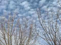 -红栌温泉山庄生态美食餐厅