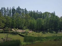 -上海长兴岛郊野公园