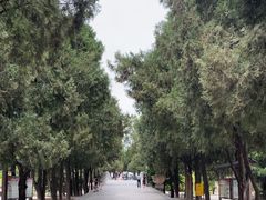 -永乐宫