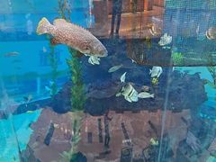 -野山舂·贵州现舂酸汤火锅(鸿通城店)