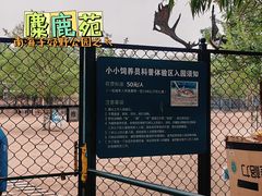 -北京麋鹿生态实验中心