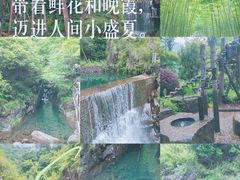 -大奇山国家森林公园