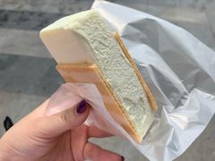 -詹爷爷乌节路街头冰淇淋