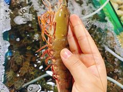 -新鸿港水果市场