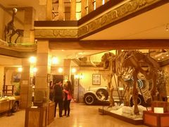 -信不信由你博物馆