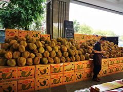 -鲜力达果品批发直销(无锡保利香槟店)