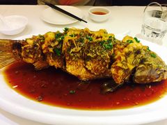 老济南糖醋鲤鱼-金春禧(世茂国际广场店)