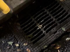 -有局·成都市井烧烤·精酿啤酒(双楠店)