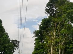 -海口火山口国家地质公园