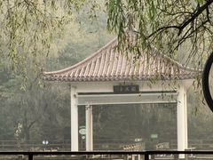 -吉林市朱雀山国家森林公园