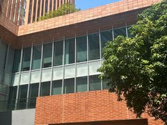 -香港大学