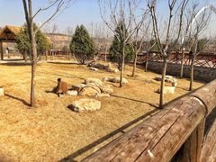-太原动物园