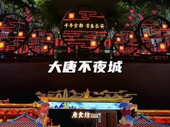 -大唐不夜城