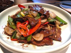 -马仕玖煲·融合菜·酥不腻烤鸭(人大店)