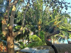 -海南分界洲岛旅游区