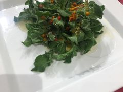 冰草-九十九顶毡房(阜石路店)