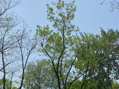 -南郊宾馆·风味自助餐厅·山东十六地市特色菜