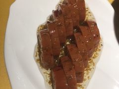 -素虎小呆鸟(西二旗店)