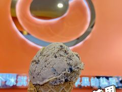 -iceason爱茜茜里·意大利健康冰淇淋(骑龙巷店)