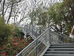 -佛山华盖山公园