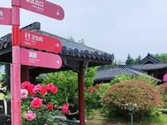 -《神游传奇》秀