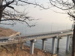 -星海湾跨海大桥
