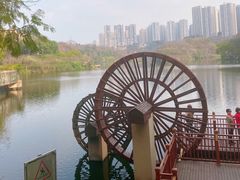 -重庆彩云湖湿地公园