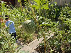 -红黄蓝幼儿园(颐东苑店)