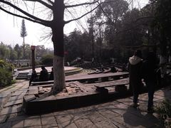 -成都市活水公园