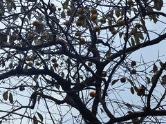 -北仑森林植物园