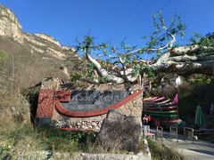 -大平台龙居瀑布旅游区