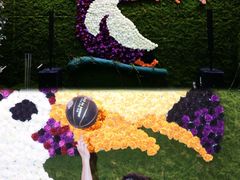 -正佳雨林生态植物园
